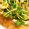 クックRGUE69☆'s cooksnap of when they made 簡単5分☆えのきとかいわれの梅かつお和え.