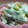ＭＯＭＯパンダ's cooksnap of when they made 簡単！お弁当にも♪オクラの胡麻マヨ和え.