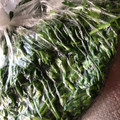 めりーがっつさぶ's cooksnap of when they made 冷凍☆パセリの冷凍保存.