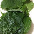 クックIJPNL0☆'s cooksnap of when they made 大葉の保存法！.