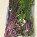 トコタン's cooksnap of when they made 簡単！赤水菜の浅漬け(酢生姜).