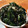 低カロ探検隊's cooksnap of when they made わかめの塩昆布和え.