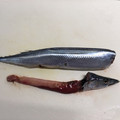 いちご海月's cooksnap of when they made 誰でも簡単キレイ☆さんま下処理.