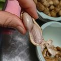 なんちゃってハル's cooksnap of when they made 生落花生の塩ゆで.