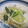 柊さくら's cooksnap of when they made 簡単5分！小松菜ともやしのシャンタン炒め.