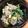 ♡かえるママ♡'s cooksnap of when they made ニラともやしのナムル.