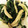 04eri08's cooksnap of when they made 簡単！早い！ほうれん草としめじのゴマ和え.