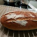 SeikoCGD's cooksnap of when they made もっちり米粉入りパン.