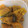にわこぽっぷ's cooksnap of when they made かぼちゃの煮物.