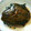 arushiro's cooksnap of when they made カレイの煮付け.