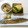 そらてんママ's cooksnap of when they made ハサミで超簡単！秋刀魚の下処理.