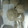 クック5PKJNY☆'s cooksnap of when they made 意外と簡単！もち米しゅうまい。.