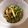 モモクリアオ's cooksnap of when they made 豆苗とツナとしめじ☆おひたし.