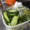 犀犬クック's cooksnap of when they made 大量消費♩農家の《きゅうりのビール漬け》.