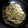 ロイヤルミルク♪'s cooksnap of when they made んま！豆苗ともやしのとまらないため.