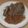 きらり流れ星's cooksnap of when they made 牛肉のしぐれ煮.
