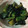 クック1FX93J☆'s cooksnap of when they made のりきゅう（きゅうりの海苔炒め）.