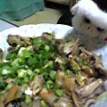 サンソン's cooksnap of when they made しめじと揚げ玉のきのこ丼.