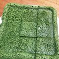 shirori's cooksnap of when they made まるでシフォン♡抹茶おから蒸しパン.