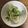 いもいか's cooksnap of when they made 新生姜の爽やかサラダ.