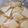 ７０９kikuchi's cooksnap of when they made 簡単‼️美味しい♪べったら漬け.