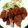 クックP5RCM1☆'s cooksnap of when they made 衣さくさく、柔らかお肉のトンカツ.
