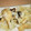 TAMOKI☆'s cooksnap of when they made キャベツと油揚げの塩昆布炒め.