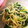 あまねっち29's cooksnap of when they made ほうれん草とモヤシのナムル.