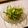 うどん県☆'s cooksnap of when they made 千切り野菜とツナのサッパリサラダ.