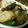 明日歩's cooksnap of when they made レンジで簡単♪オクラとキャベツの浅漬け.