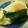 クックW2OESC☆'s cooksnap of when they made ポリ袋で作るほうれん草のポーチドエッグ.