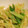 ＊＊カエル＊＊'s cooksnap of when they made 長ネギ大量消費★お弁当◎カレーバター炒め.