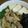 よし33☆'s cooksnap of when they made 節約15分とかからん【甘辛/鶏・すき煮】.