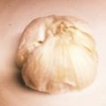 ＊にょにょん＊'s cooksnap of when they made 【つまみ】レンチンにんにく.