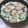 ラリー＆サラ's cooksnap of when they made 簡単！鮭の味噌マヨチャンチャン.