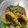 クックSXM10J☆'s cooksnap of when they made コーンの揚げ焼き マヨネーズ風味.