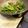 しげkitchen's cooksnap of when they made 超簡単、ピーマンのシラス炒め.
