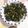 クックQT23CK☆'s cooksnap of when they made 簡単！大根の葉の炒め煮.