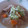 minamikai's cooksnap of when they made もつ煮込みでほっかほか.