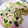 ゆしかあさん's cooksnap of when they made もやしとにらとえのきの炒め物.