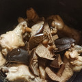 amadokoro's cooksnap of when they made 炊飯器で簡単♪鶏手羽元と根菜の甘酢煮.