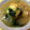 VanDyke's cooksnap of when they made ミゾレたっぷりの揚げ出し豆腐.