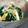 ピンクのたまご's cooksnap of when they made ■さつまあげのさっぱりサラダ■.