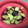 たぁちぃまま's cooksnap of when they made 電子レンジで蒸しさつまいも☆簡単.