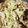 ✿ささ's cooksnap of when they made 野菜の生姜炒め。.
