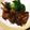 ペーパー谷's cooksnap of when they made 豚ヒレ肉ピリ辛味噌照り焼き.