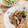 fu♪♪'s cooksnap of when they made 小松菜と人参とツナのからしマヨ和え.