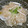ジョングレ's cooksnap of when they made 大根と生ハムのマリネ.