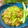 かおりかざり's cooksnap of when they made 豚しゃぶときゅうりの香味和え.
