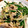 miiko大好き's cooksnap of when they made 簡単に…豚もやしニラ炒めの卵とじ.
